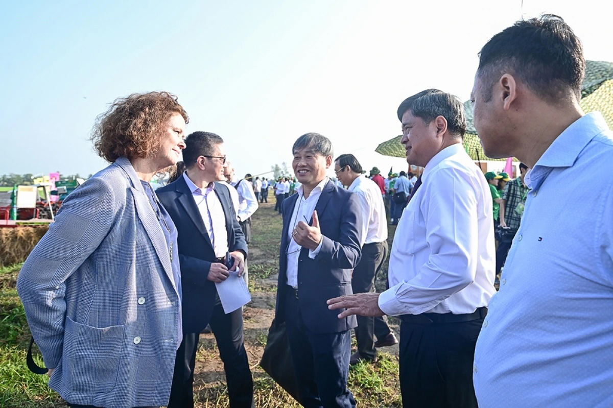 Đề án 1 triệu ha tín hiệu tích cực từ vựa lúa miền tây hình ảnh 6 De an 1 trieu ha tin hieu tich cuc tu vua lua mien tay hinh anh 6